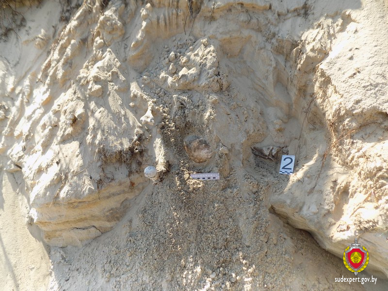 В Малорите в насыпи песка обнаружены костные останки предположительно 11 человек
