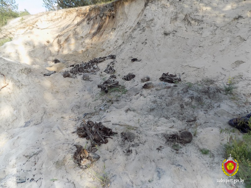 В Малорите в насыпи песка обнаружены костные останки предположительно 11 человек